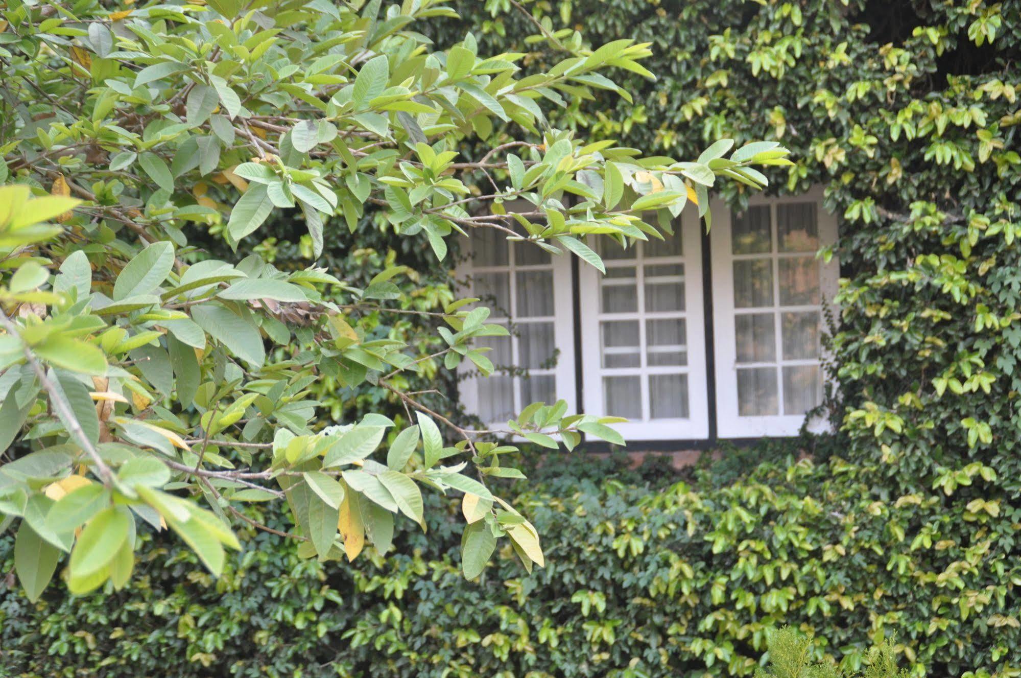 Kalaw Heritage Hotel Since 1903 Bagian luar foto